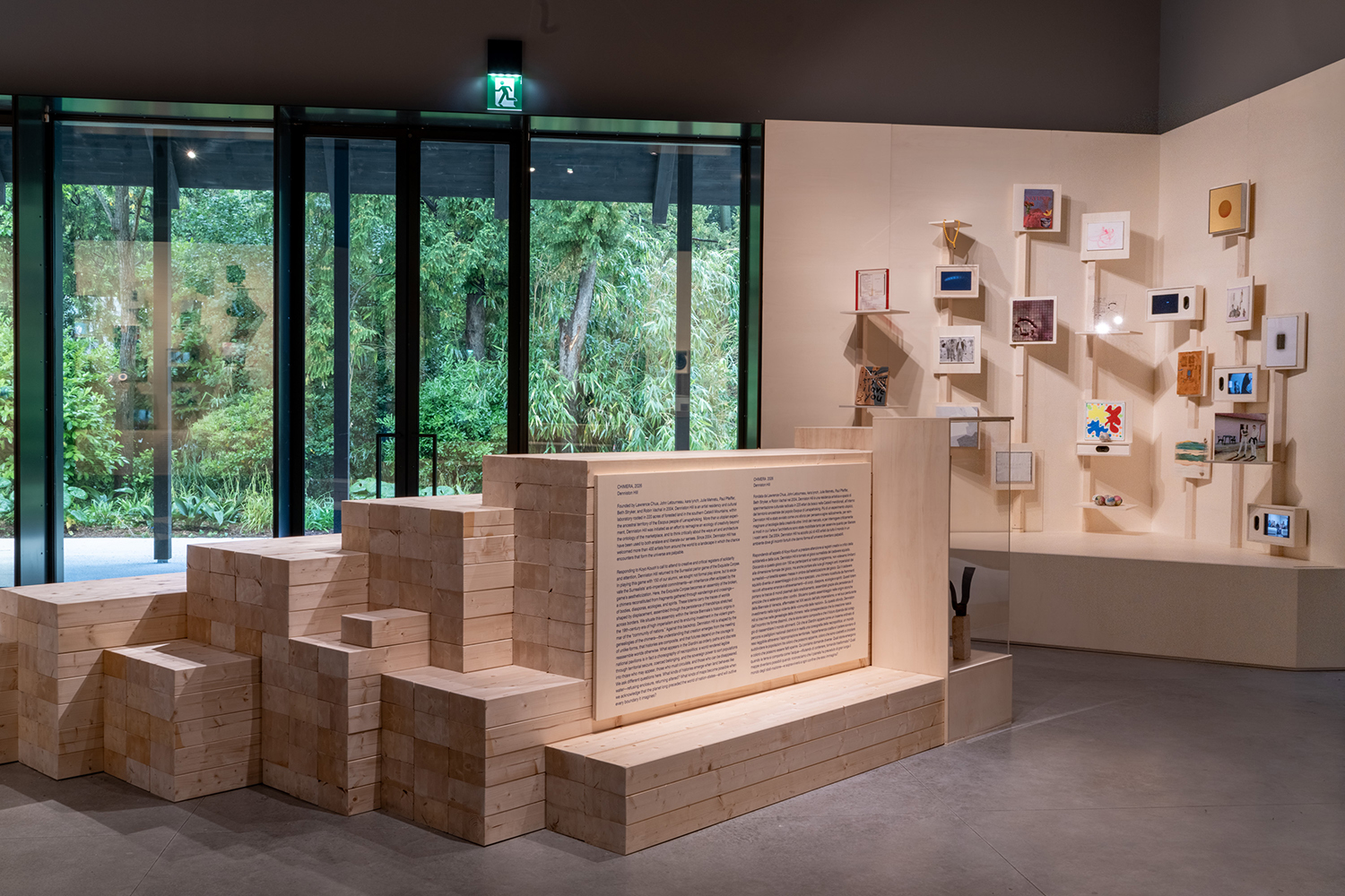 Chimera, 61st Int'l Art Exhibition of La Biennale di Venezia